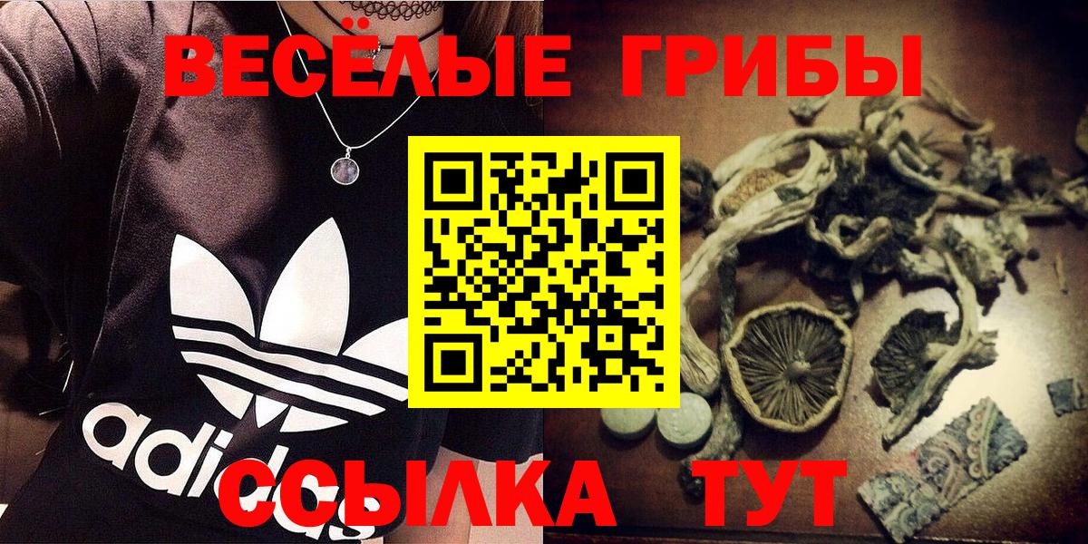 Галлюциногенные грибы Cubensis  Вход с VPN  Псилоцибиновые грибы прущие грибы  Ефремов 