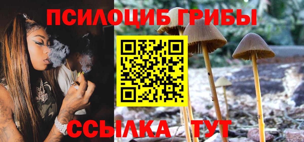 Псилоцибиновые грибы GOLDEN TEACHER Ефремов